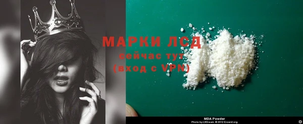 гашик Богданович