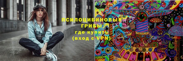 гашик Богданович